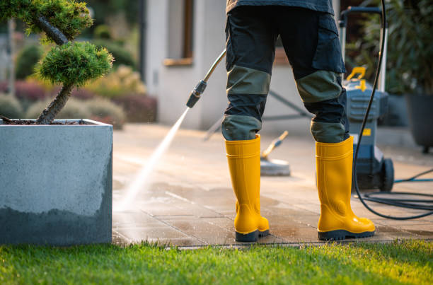 Best Pressure Washing Driveway  in Ballville, OH